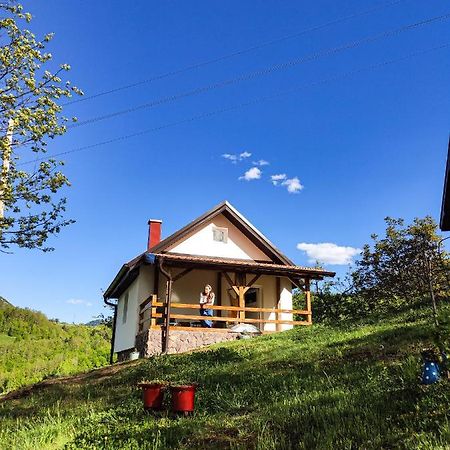 The Village House Zlatar Nova Varoš Extérieur photo