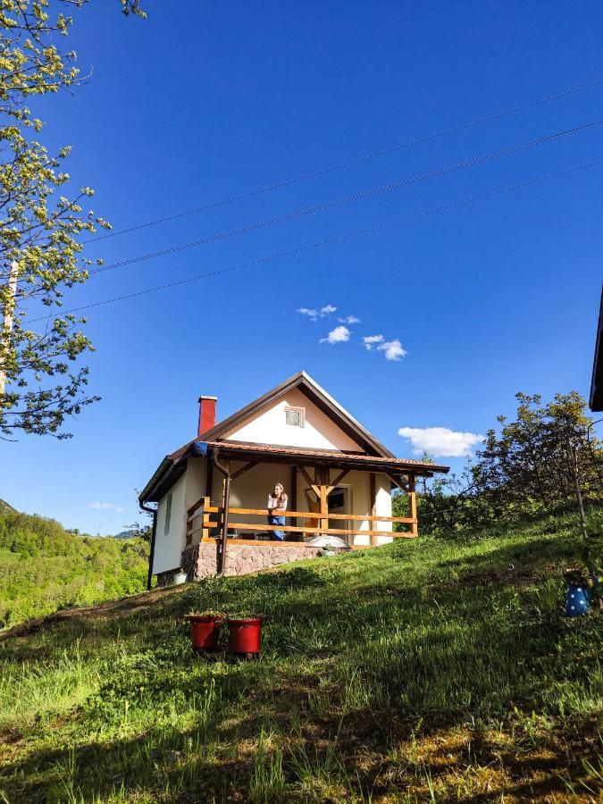 The Village House Zlatar Nova Varoš Extérieur photo