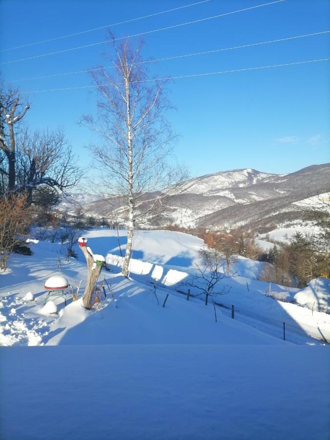 The Village House Zlatar Nova Varoš Extérieur photo