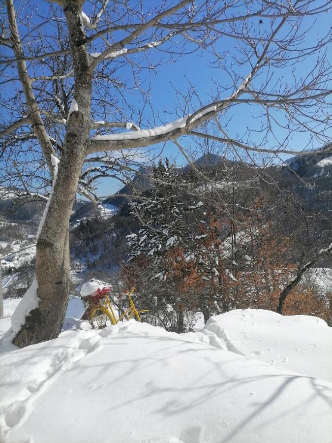 The Village House Zlatar Nova Varoš Extérieur photo